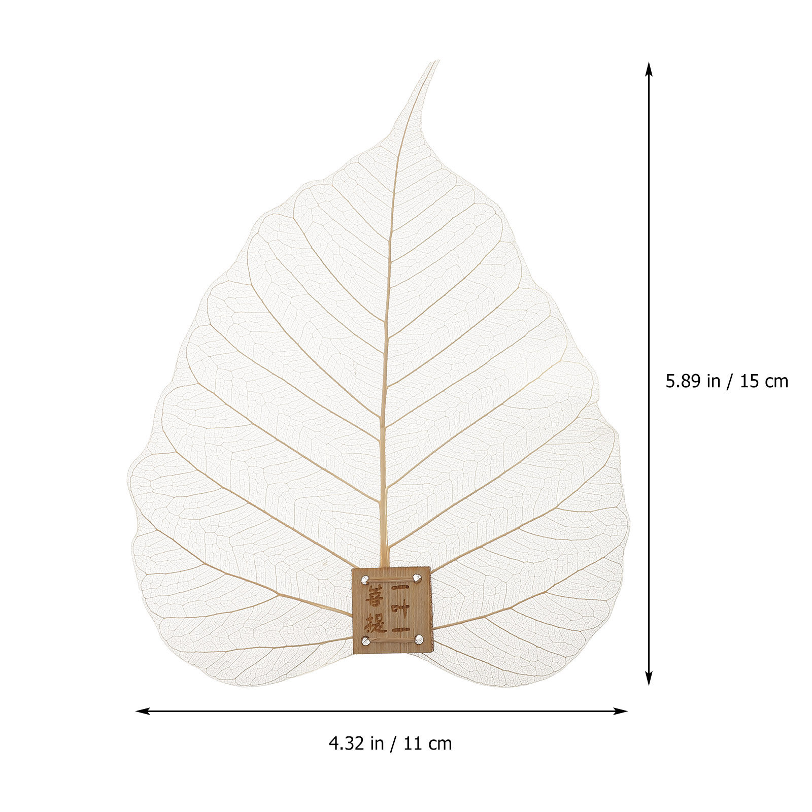 Strainer Filter Leaf Shape Fin - огляд і ціна Home Bar Supplies